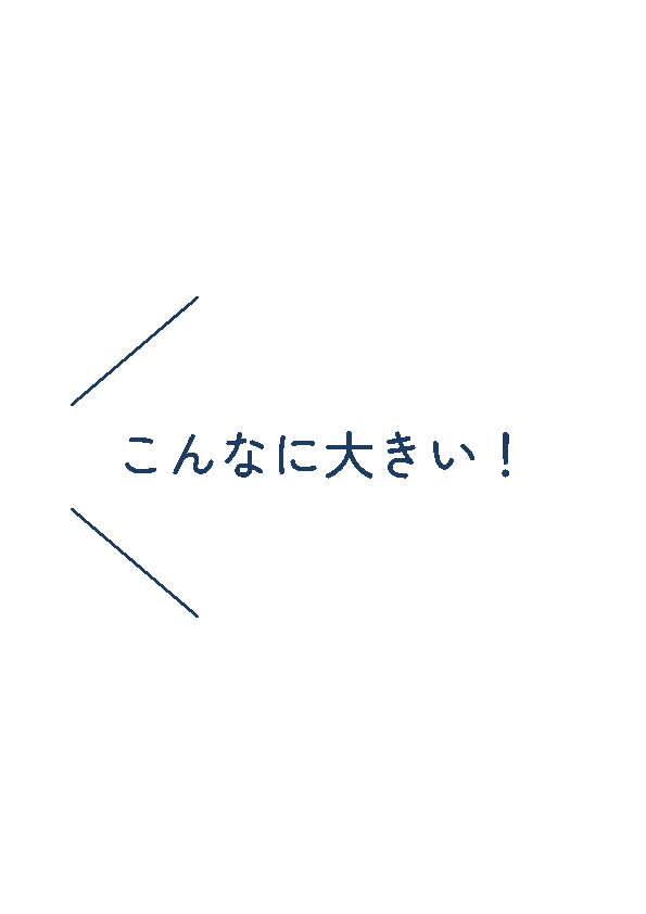 スポット3